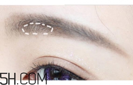 ��ü�̳�ͼ�� ��üë�ļ���ͼ��һ��ü